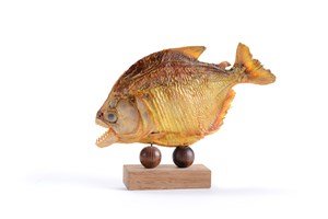 Image description is not available for 2006.1.2